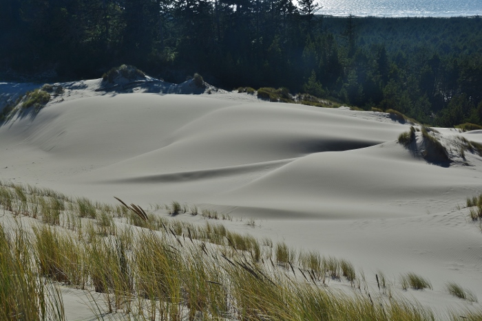 sandy dunes